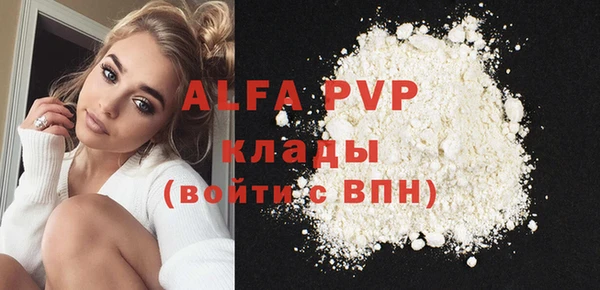 индика Дубна