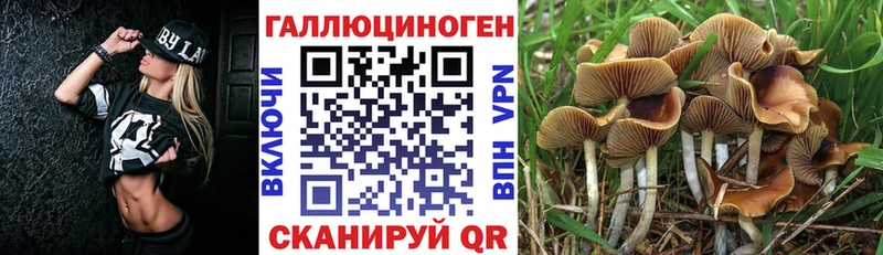 Галлюциногенные грибы GOLDEN TEACHER  Славгород 