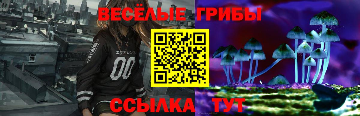 Псилоцибиновые грибы GOLDEN TEACHER  Вход с VPN  Славгород 
