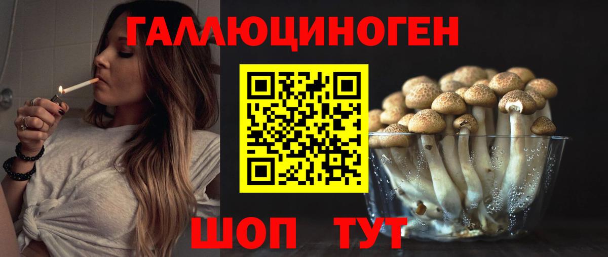 Псилоцибиновые грибы GOLDEN TEACHER Славгород