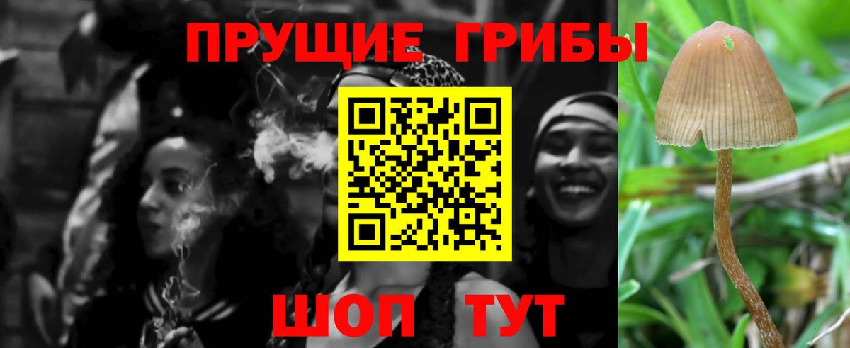 Галлюциногенные грибы ЛСД Славгород